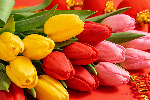 ������䣺��ɫ������������