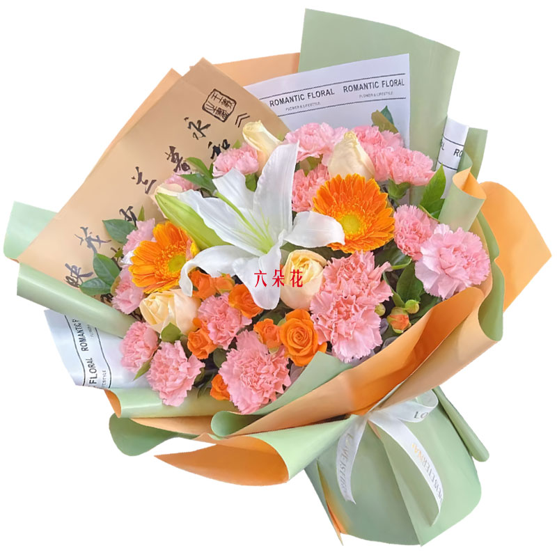 16朵粉色康乃馨扶郎花,未来开满鲜花