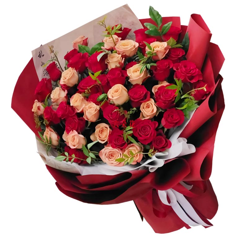 48��õ�廨�������İ���