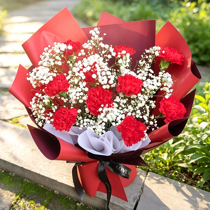 11���ɫ����ܰ����ף���Ŀ�̩