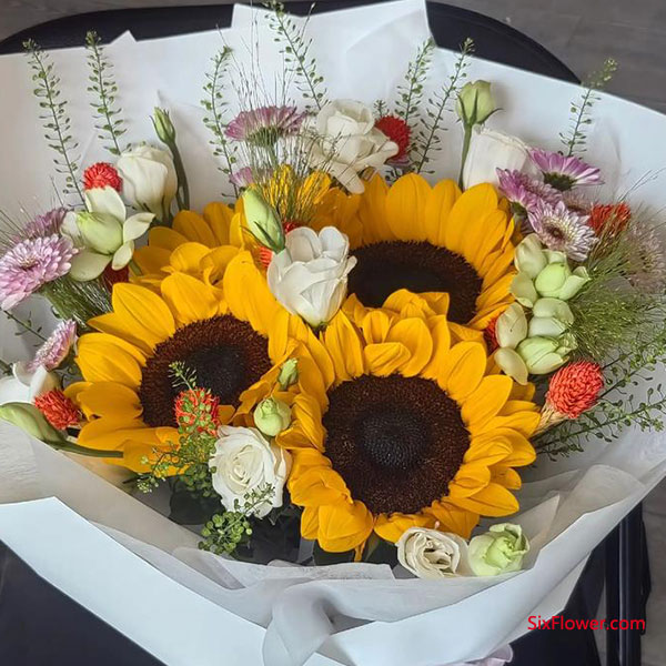 ��Ƭ����Ҫ�̣�˵�˻�����д�����