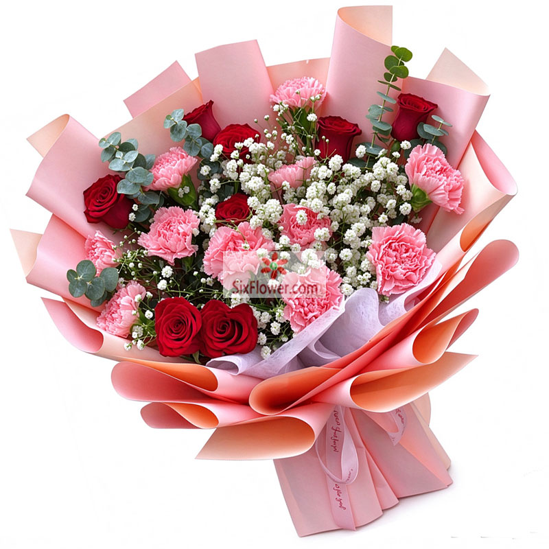 11���ɫ����ܰ8���õ�壬�Լ���С�Ҹ�