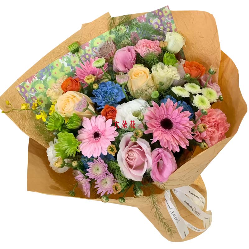 3朵玫瑰康乃馨扶郎花,绽放独有光芒