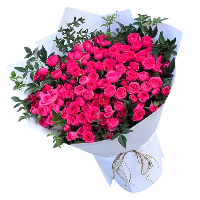 22支苏菲宝贝多头玫瑰,一起探索人生