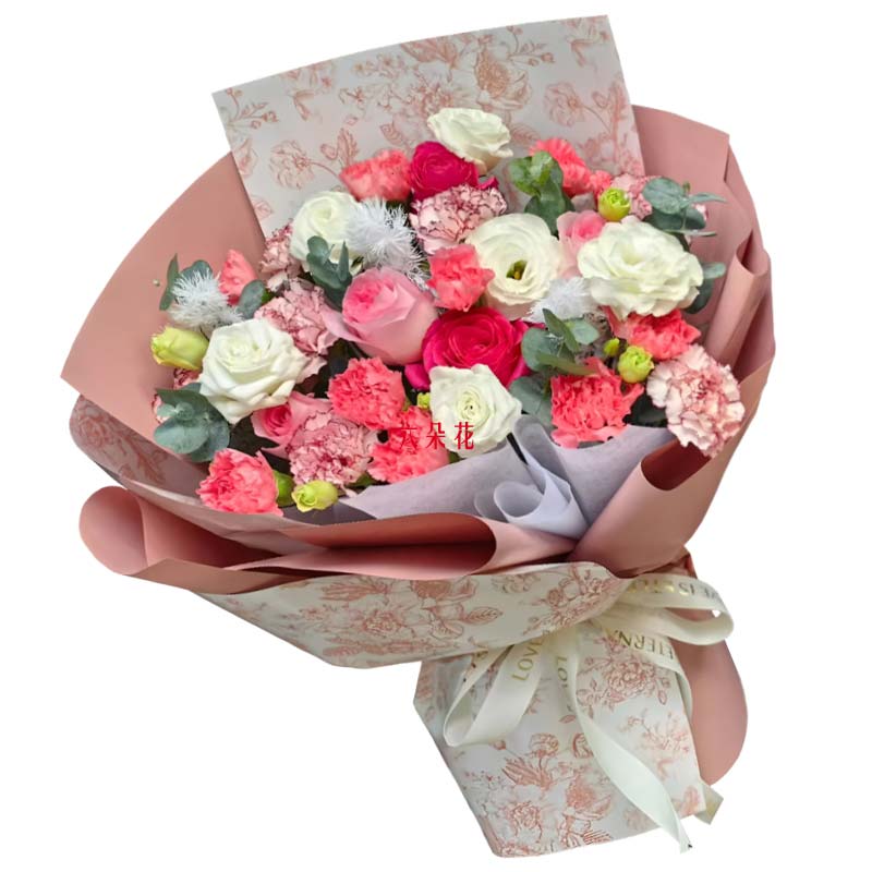 15朵康乃馨粉玫瑰,跃动的光芒