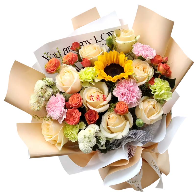 8������õ�念��ܰ���տ���Ѥ�����òʺ�