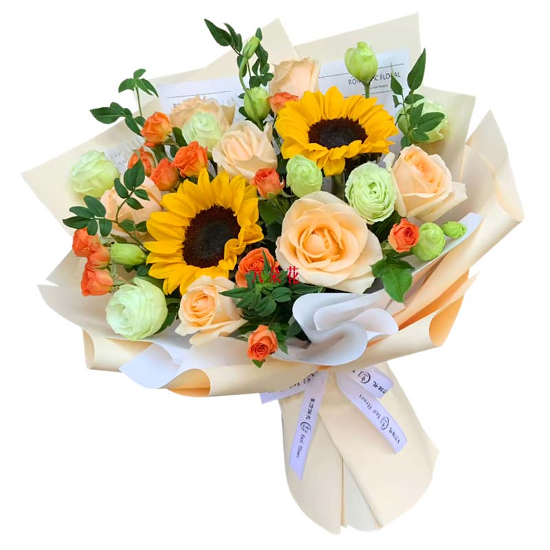 8������õ��2�����տ�������ϣ����â