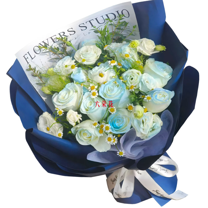 9���������õ��9��۹���Я���������