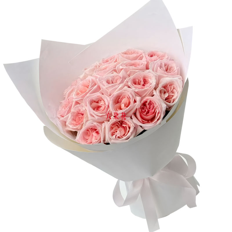 19����֦��õ�壬����ָ������