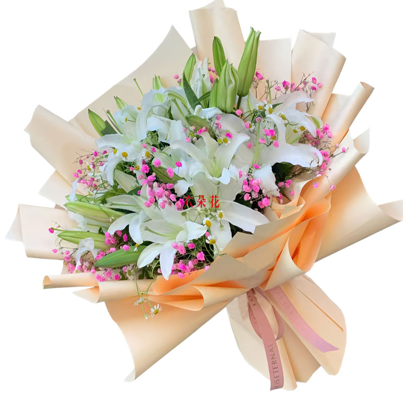 9֧��ɫ��ͷ�ٺϣ�ǡ������֦