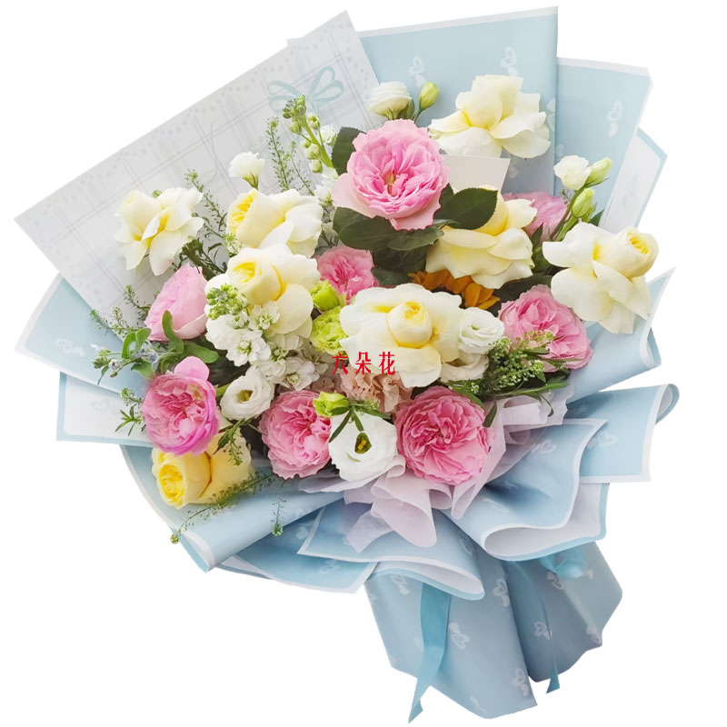 16��õ�廨���տ����Ҹ�������