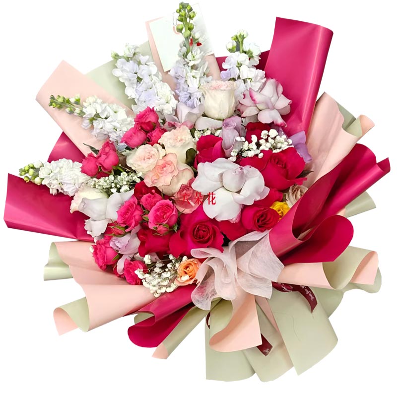 20朵玫瑰5支紫罗兰,我心之所向