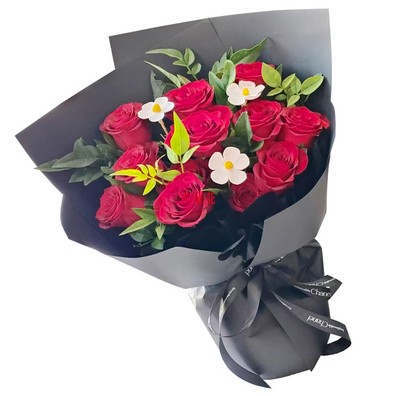 11���õ�壬�మ��������