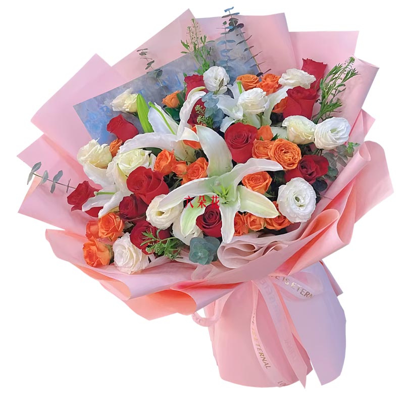 11���õ��2֧�ٺϣ�ÿ�춼������