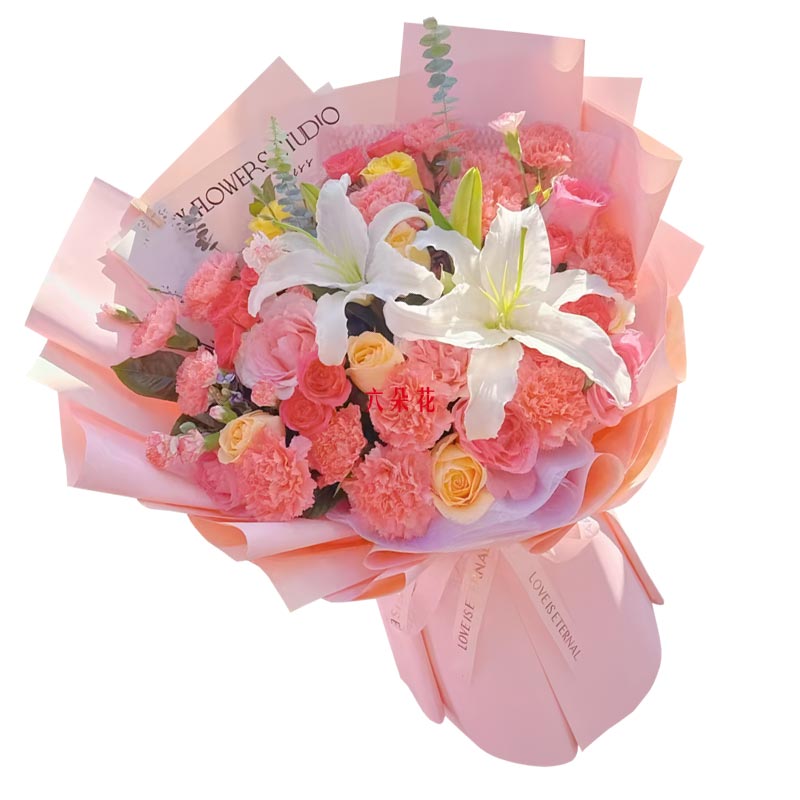 16���ɫ����ܰõ��ٺϣ�Ը���������