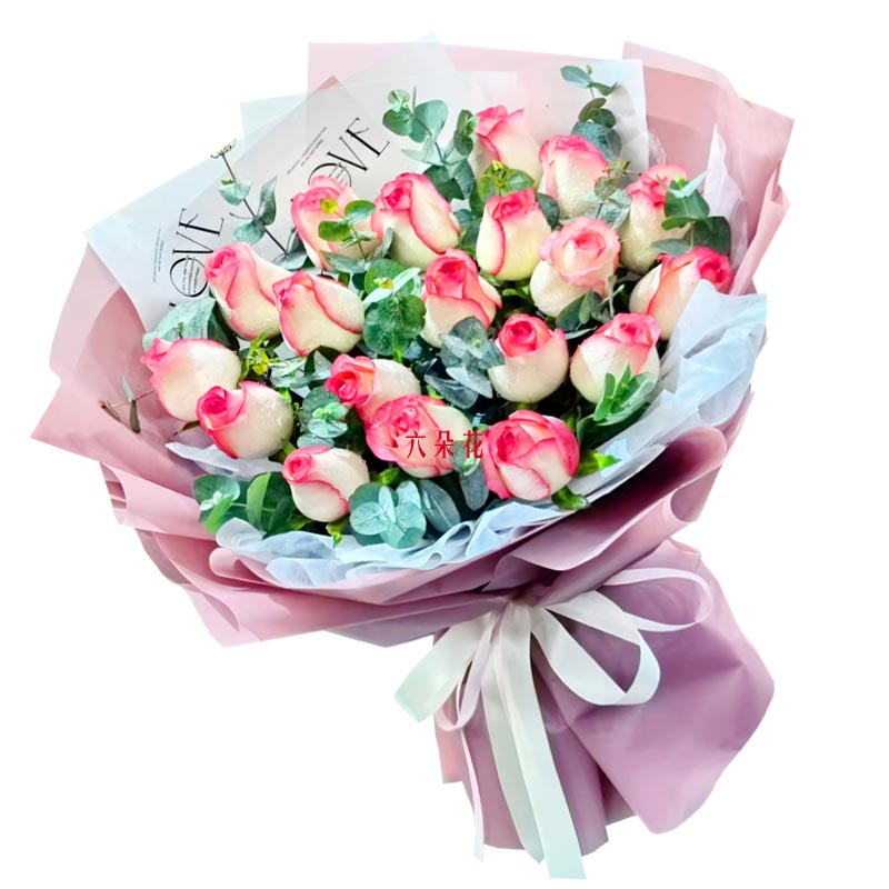 19�䰬ɯ��õ�壬�ҵ���������