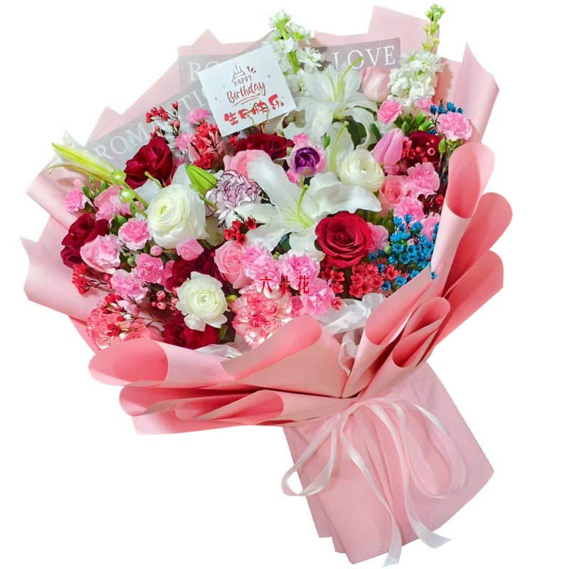 11�俵��ܰ12��õ��ٺϣ�������������