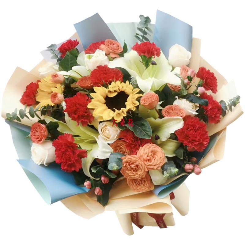 11���ɫ����ܰ2�����տ�����������