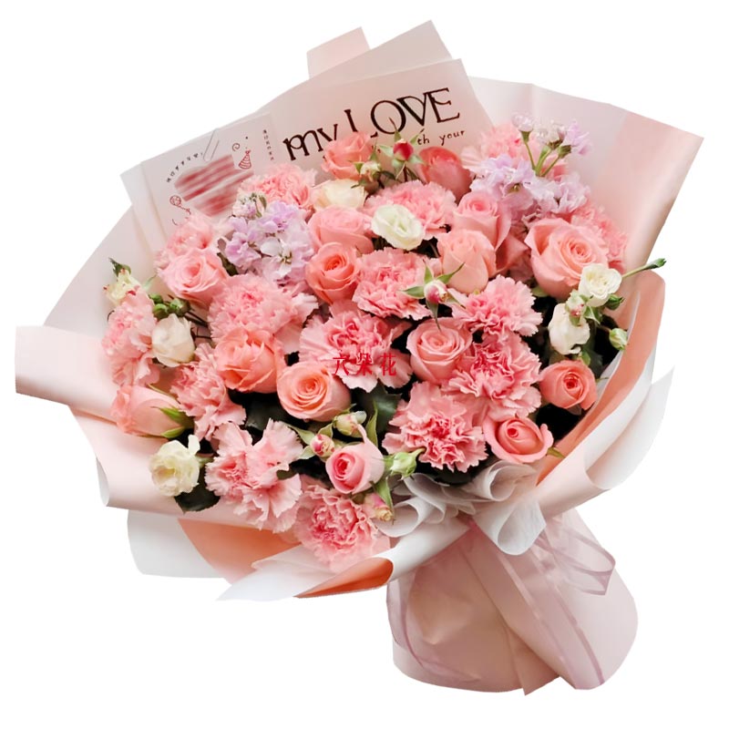 16���ɫ����ܰ12���õ�壬Ը����˲�ֹ