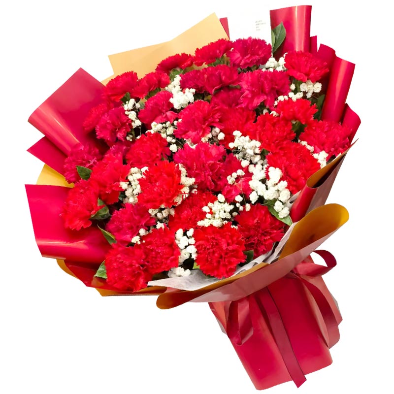33���ɫ����ܰ�����곤����