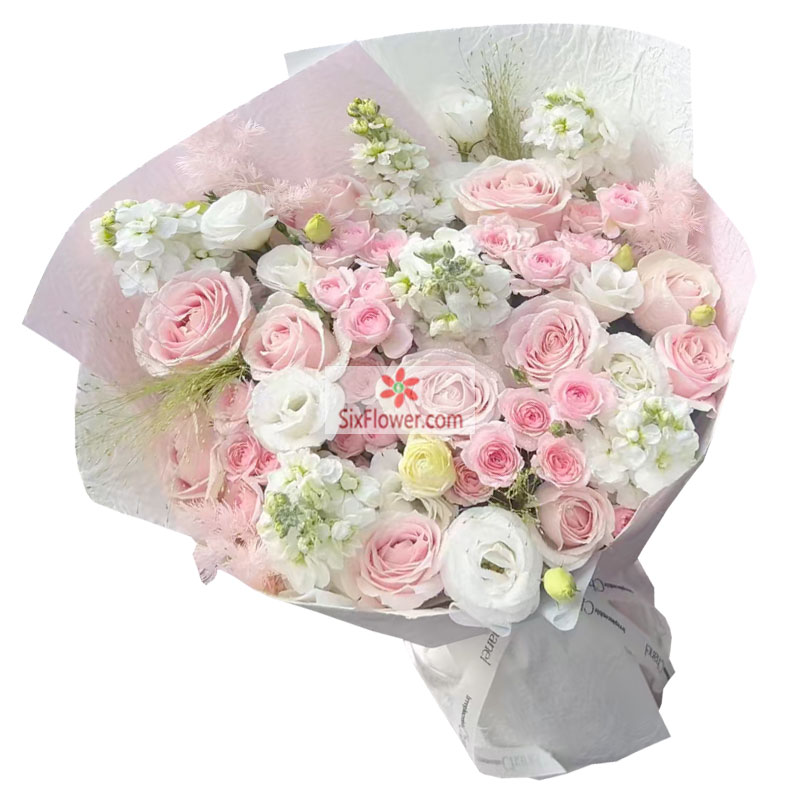 11������ȷ�õ��6֧���������మ�ļ��ֻ�
