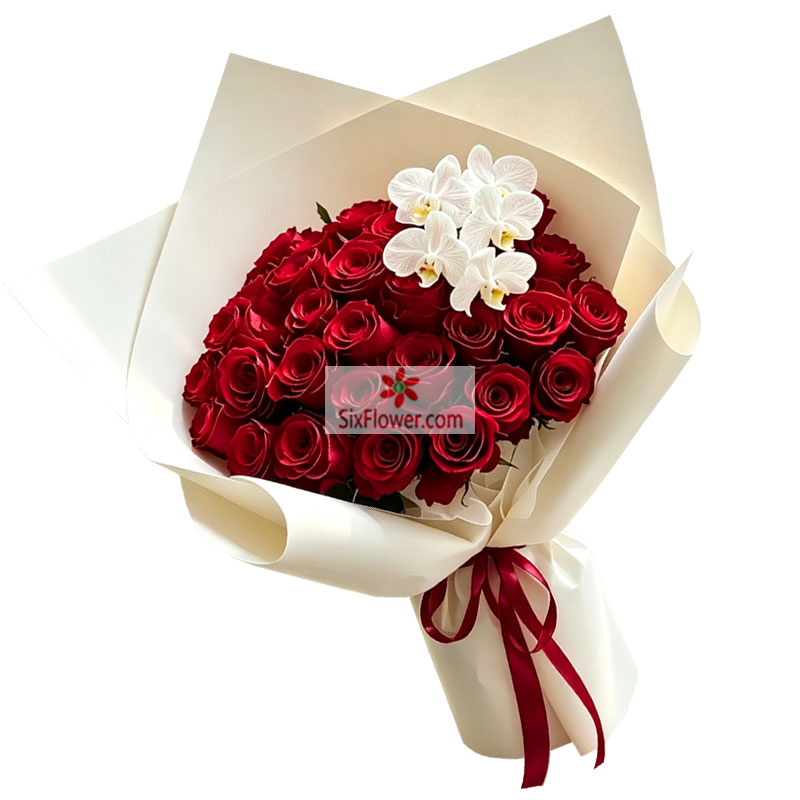 29���õ��4֧�������������Ҹ��ޱ�