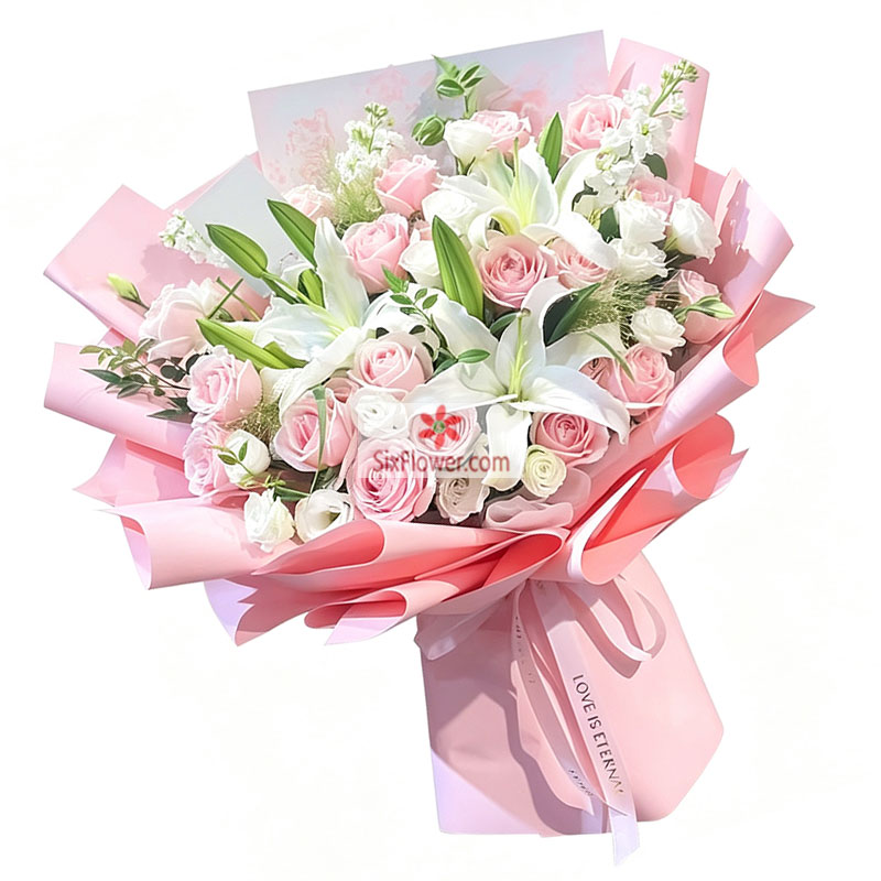 19���õ��2֧�ٺϣ��ʺ�����¶�