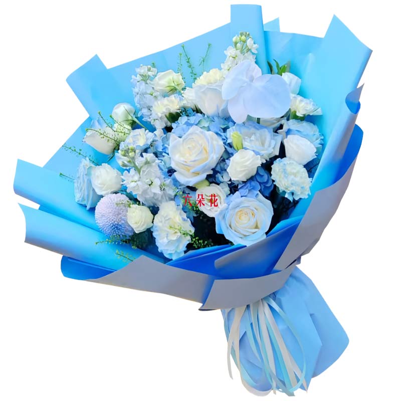 8朵白玫瑰碎冰蓝1支蝴蝶兰,爱绚丽的彩虹