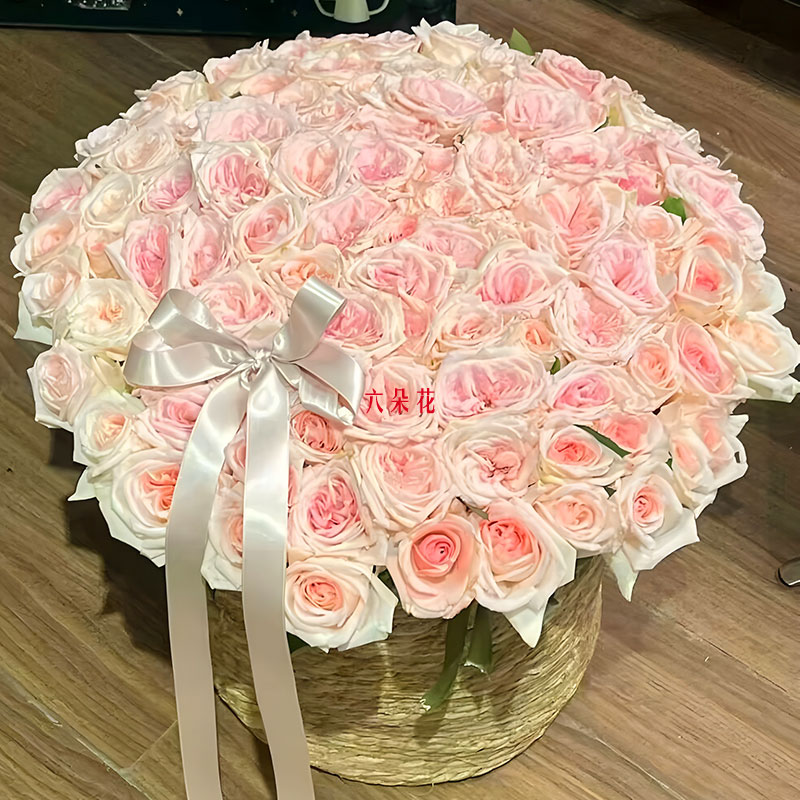 66֦õݱ໨㹲