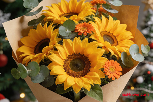 向日葵——陽光與溫暖的能量