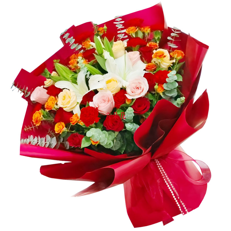 19��õ��2֧�ٺ����C�������\��