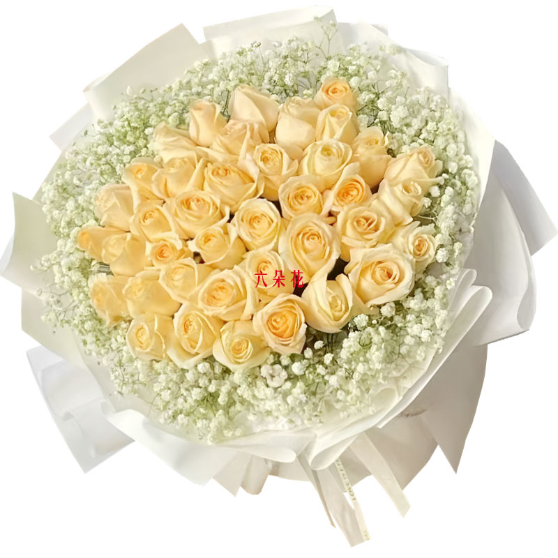 33朵香槟玫瑰满天星丰满,爱情永不枯竭