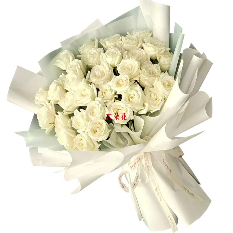 33朵白玫瑰,携手走过四季