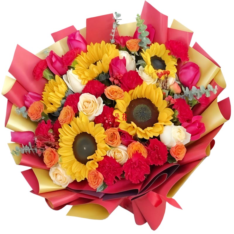 17��õ��11���ɫ����ܰ�����´�������