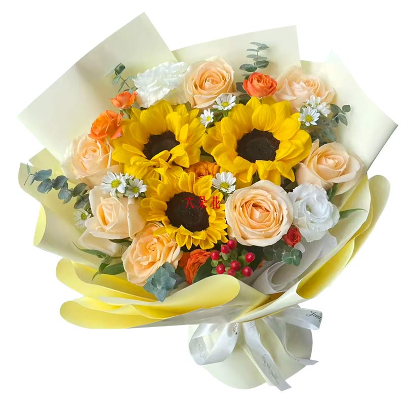 7朵香槟玫瑰3朵向日葵,实现你的梦想