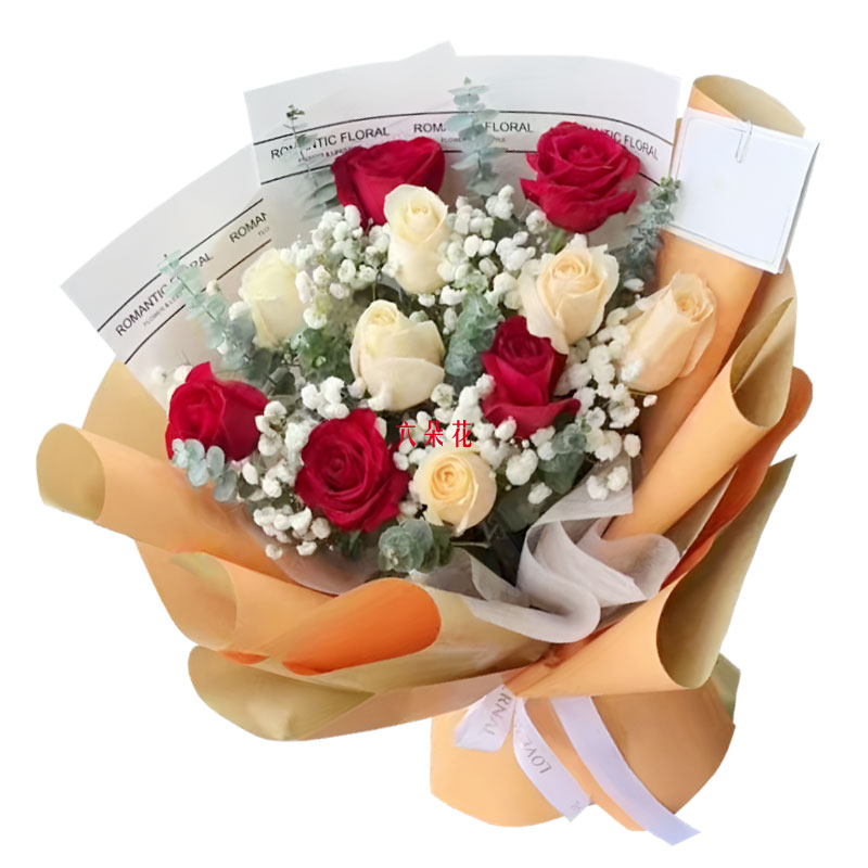 11��õ�������ֻװ����