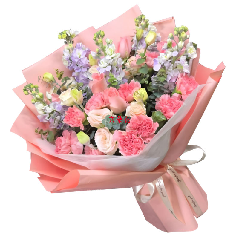 12朵粉色康乃馨5朵戴安娜粉玫瑰,感恩您的疼爱