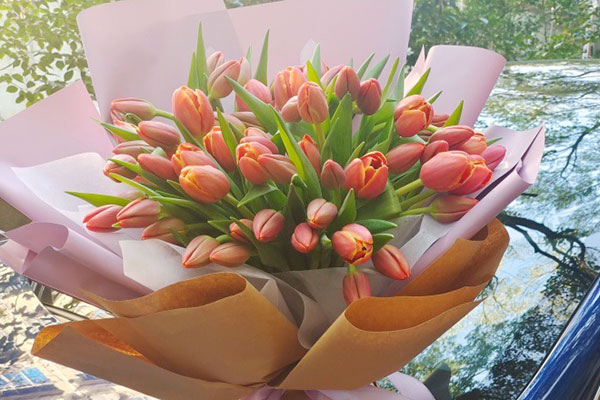 上海市浦东鲁能国际中心送花，难搞的郁金香终于拿到货！