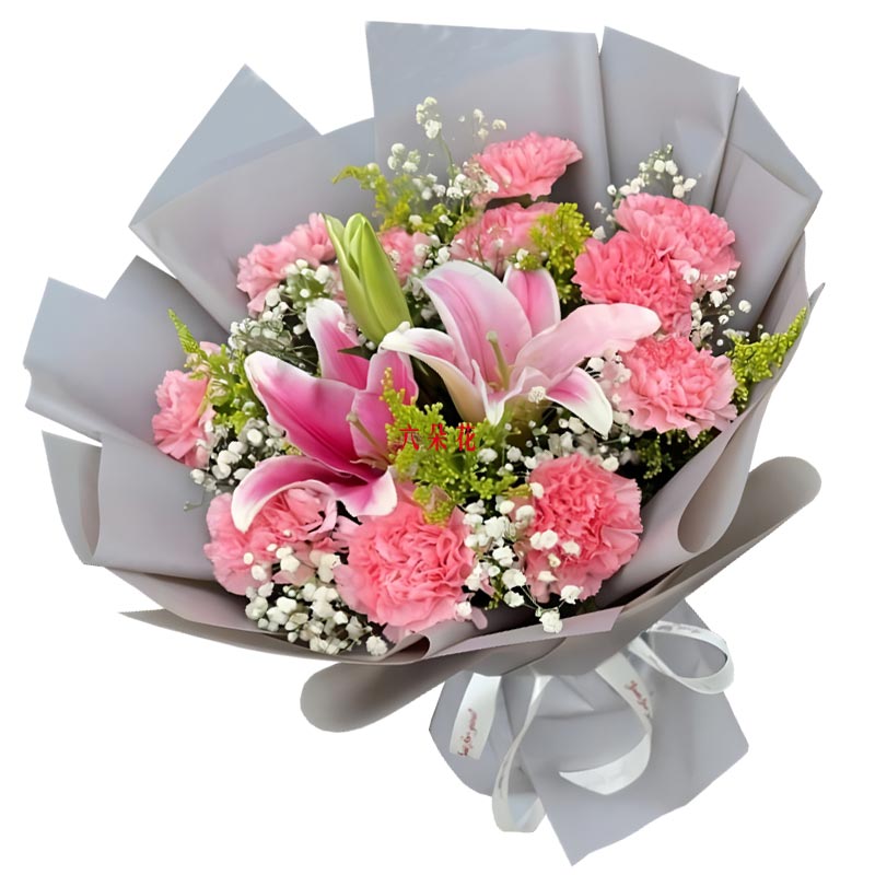 11朵粉色康乃馨1支粉色多头百合,愿你喜乐常伴
