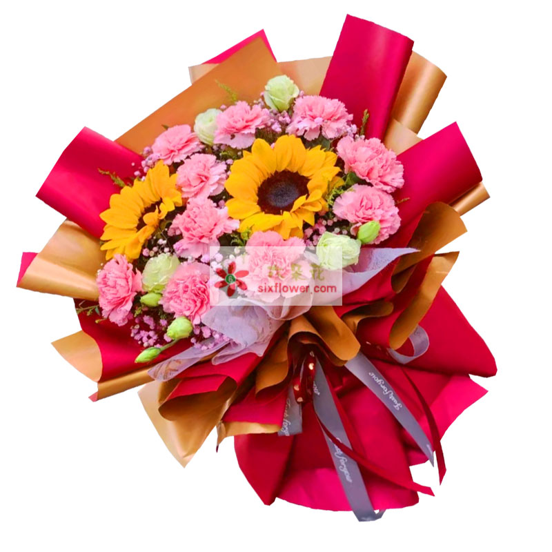 11朵粉色康乃馨向日葵，您的关爱