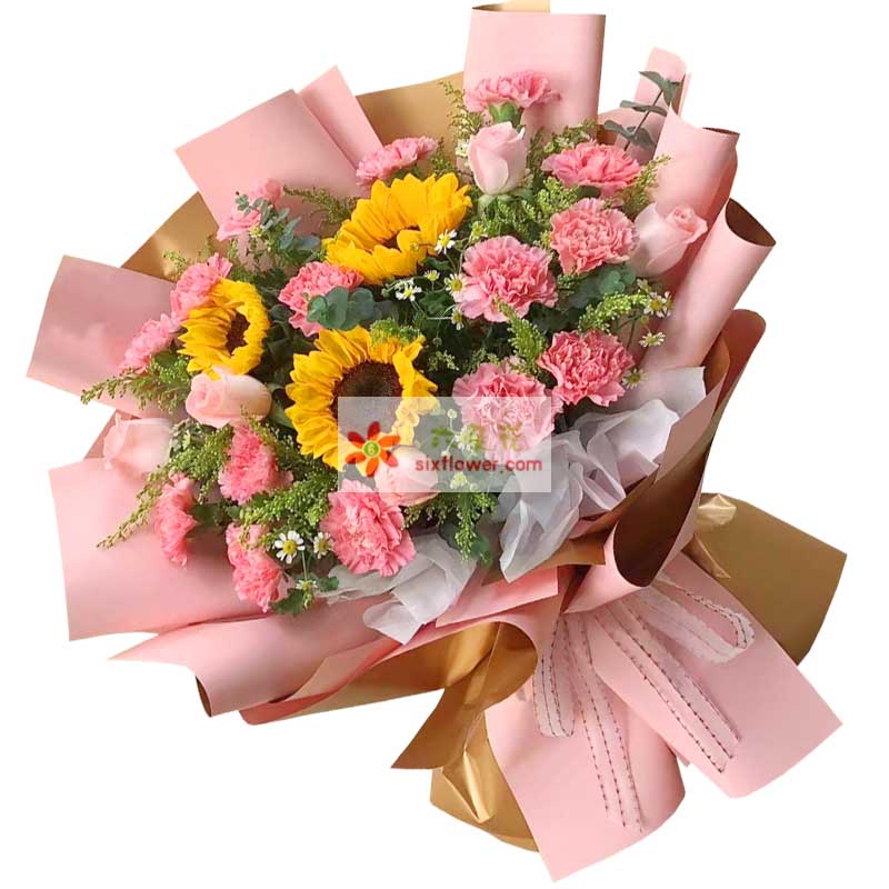 16朵粉色康乃馨向日葵，青春的激情