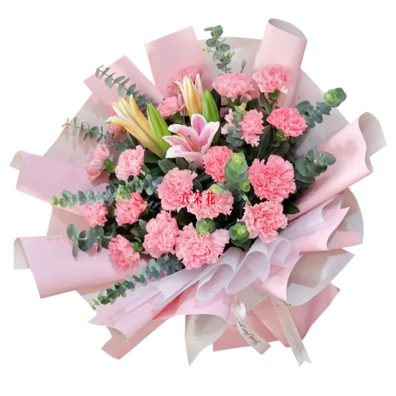 19朵粉色康乃馨百合，享受人生