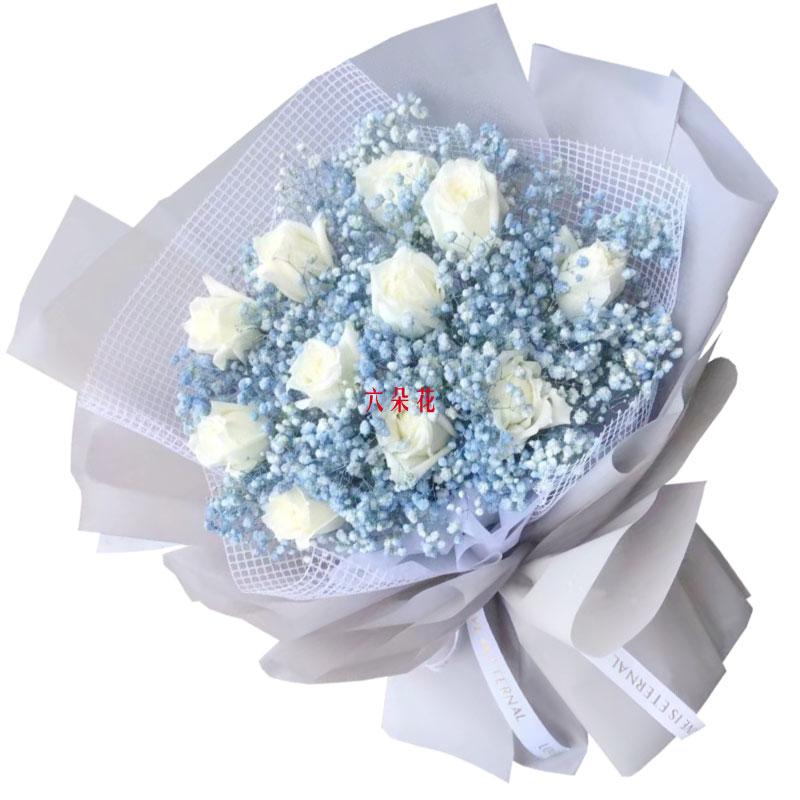 11朵白玫瑰蓝色满天星，分享一生的幸福