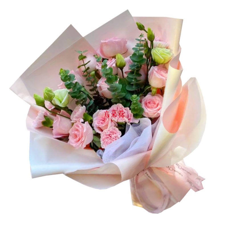 11朵粉玫瑰6朵康乃馨，感激之情