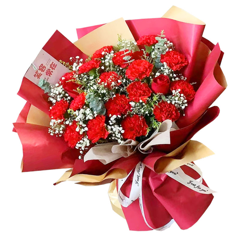 18朵红色康乃馨红玫瑰，幸福和富足