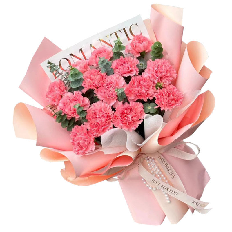 16朵粉色康乃馨，生活盛开芬芳