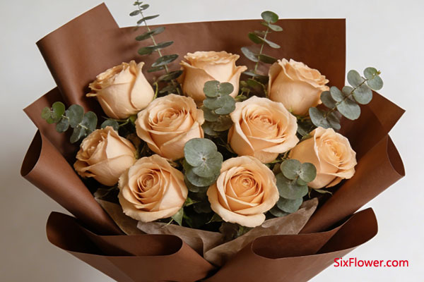 �׸����ŵ��ػ��ߣ�����õ�壩