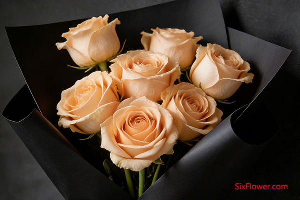 ��ɫ������ػ�������