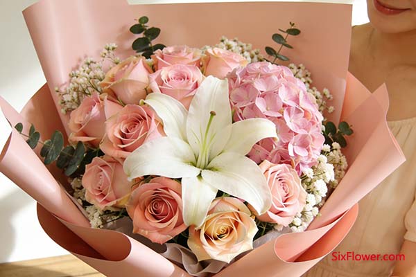 ɫ������ѧ����������