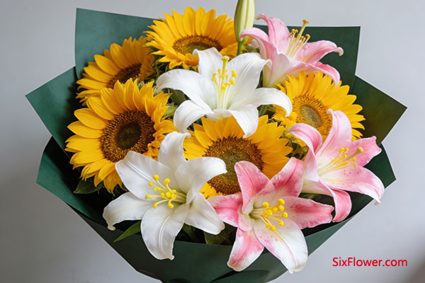 ���տ���ٺϵ����